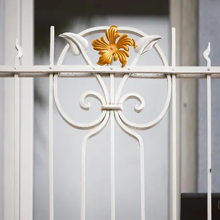 Tsaribrod Design Apartament