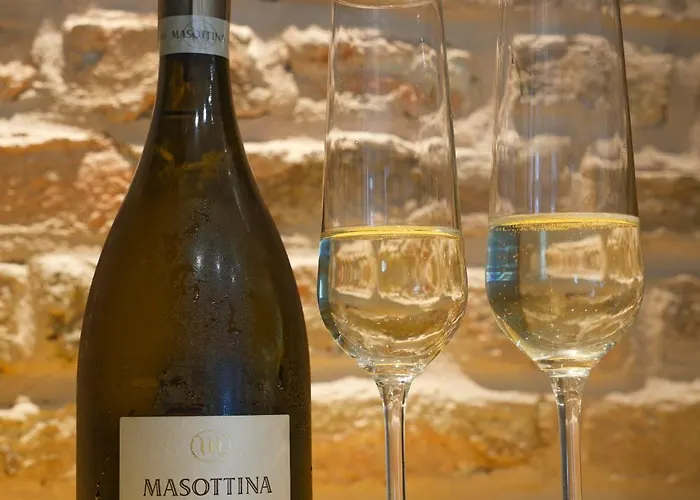 Tsaribrod Design * וארנה