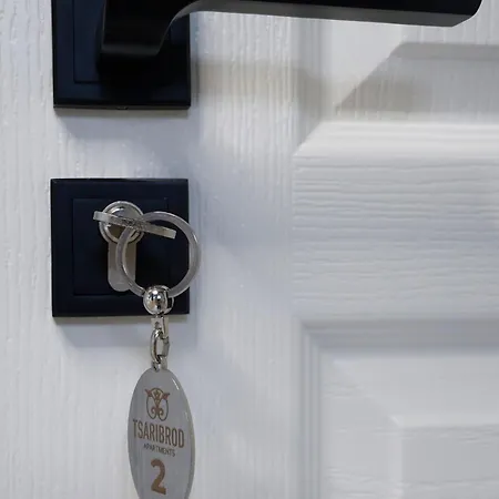 Tsaribrod Design * Varna