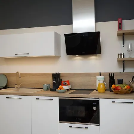 Tsaribrod Design Apartament *